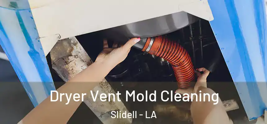 Dryer Vent Mold Cleaning Slidell - LA