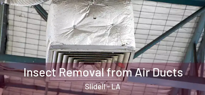  Insect Removal from Air Ducts Slidell - LA
