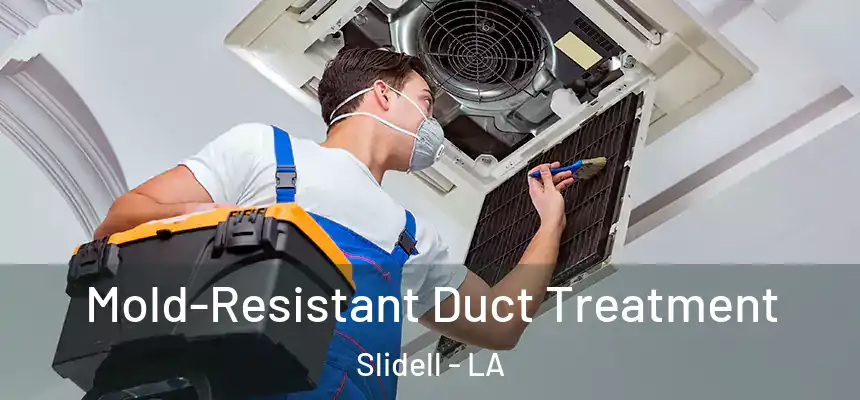 Mold-Resistant Duct Treatment Slidell - LA