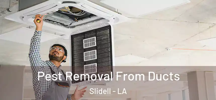  Pest Removal From Ducts Slidell - LA