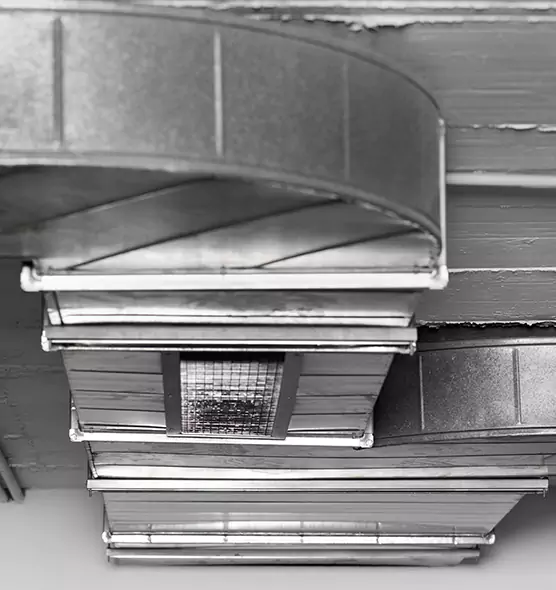 Professional Air Duct Pest Removal in Slidell, LA