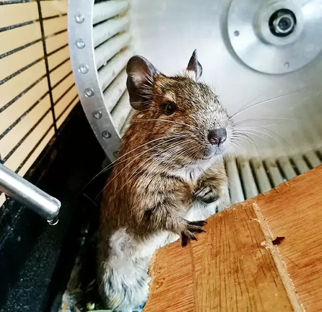 Why Homeowners & Businesses Trust Us Slidell, LA?