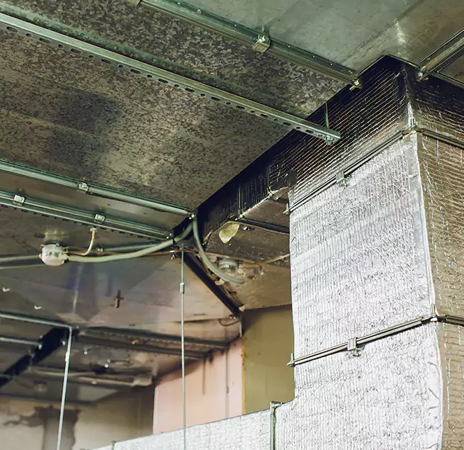 Why Homeowners & Businesses Trust Us in Slidell, LA?